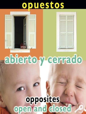 cover image of Abierto y cerrado (Opposites: Open and Closed)